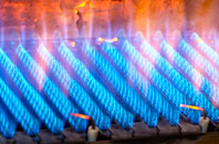 Burcott gas fired boilers